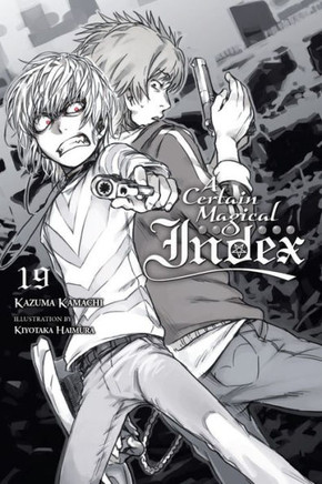 A Certain Magical Index, Vol. 19 (light novel) (A Certain Magical Index, 19)