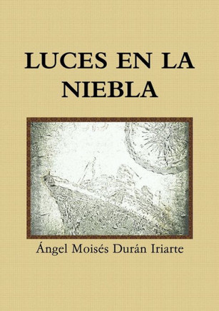 Luces en la niebla (Spanish Edition)