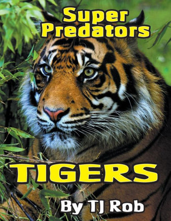 Tigers : (Age 6 And Above)