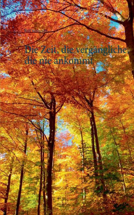 Die Zeit, Die Vergängliche, Die Nie Ankommt (German Edition)