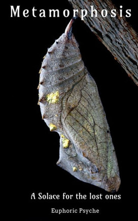 Metamorphosis Metamorphosis