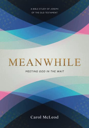 Meanwhile: Meeting God In The Wait