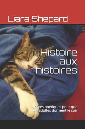 Histoire aux histoires: Contes poétiques pour que les adultes dorment le soir (French Edition)