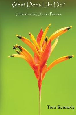 What Does Life Do? : Understanding Life As A Process