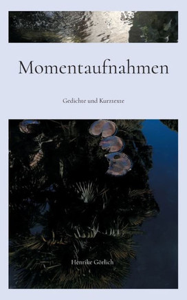 Momentaufnahmen : Gedichte und Kurztexte
