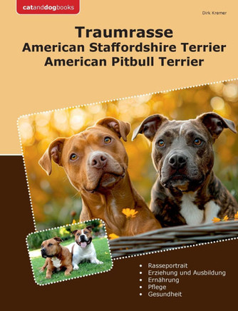 Traumrasse American Staffordshire Terrier : American Pitbull Terrier