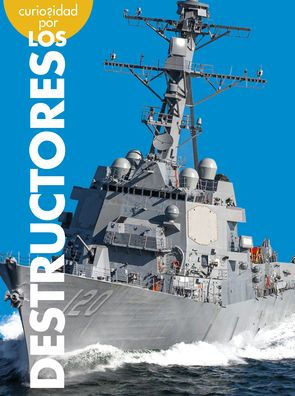 Curiosidad por los destructores