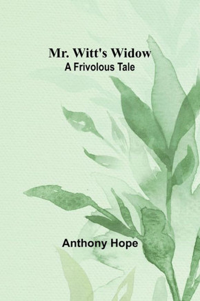 Mr. Witt's Widow : A Frivolous Tale