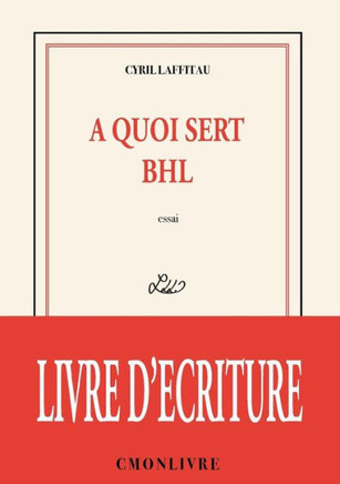 A Quoi Sert Bhl (French Edition)