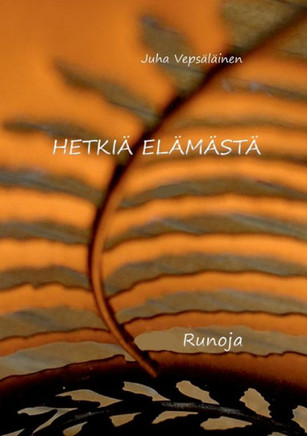 Hetkiä elämästä
