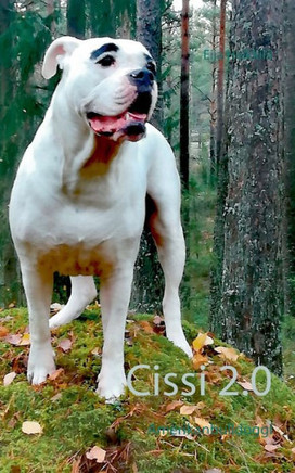 Cissi 2.0 : Amerikanbulldoggi