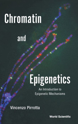 Chromatin and Epigenetics : An Introduction to Epigenetic Mechanisms