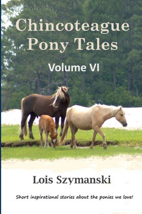 Chincoteague Pony Tales : Volume VI