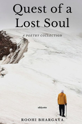 Quest of a Lost Soul