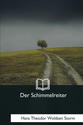 Der Schimmelreiter (German Edition)