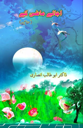 Ujaale Maazi ke : (Essays)