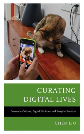 Curating Digital Lives : Consumer Cultures, Digital Platforms, and Everyday Practices