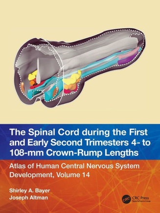The Spinal Cord During the First and Second Trimesters - 4 to 108 MM : Atlas of Central Nervous System Development, Volume 14