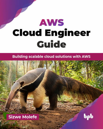 AWS Cloud Engineer Guide : Building scalable cloud solutions with AWS (English Edition)