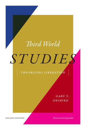 Third World Studies : Theorizing Liberation