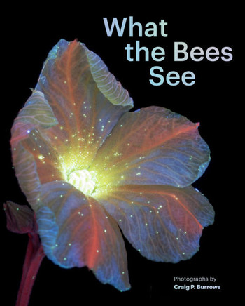 What the Bees See : A Honeybee's Eye View of the World