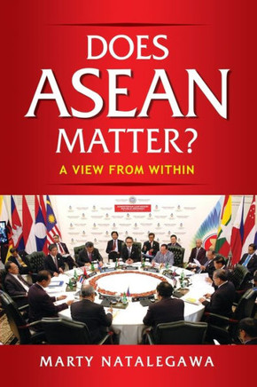 Does ASEAN Matter? : A View from Within