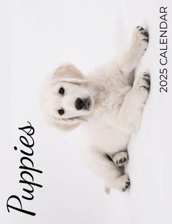 Puppies : 2025 Calendar