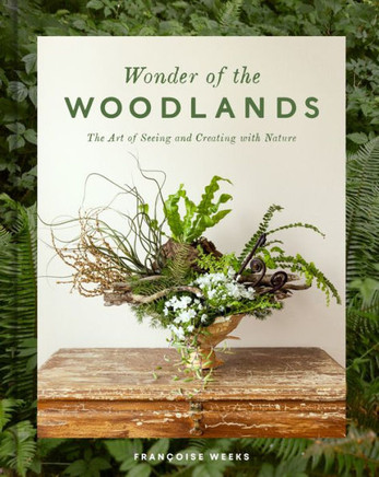 Wonder of the Woodlands : The Art of Seeing and Creating with Nature