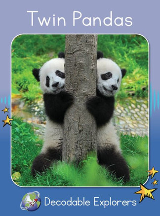 Twin Pandas : Skills Set 1