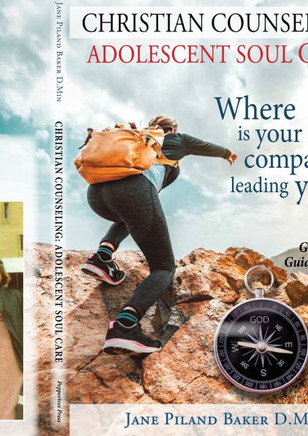 Christian Counseling : Adolescent Soul Care, Where is Your Compass Leading You?: Adolescent Soul Care,