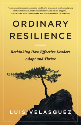 Ordinary Resilience : Rethinking How Effective Leaders Adapt and Thrive