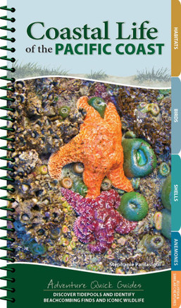 Coastal Life of the Pacific Coast : Discover Tidepools and Identify Beachcombing Finds and Iconic Wildlife