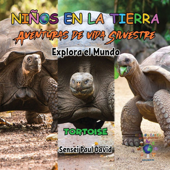 Nin~os en la Tierra Aventuras de vida Silvestre - Explora el Mundo Tortoise - Ecuador