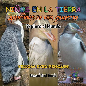 Nin~os en la Tierra Aventuras de vida Silvestre - Explora el Mundo Yellow Eyed Penguin