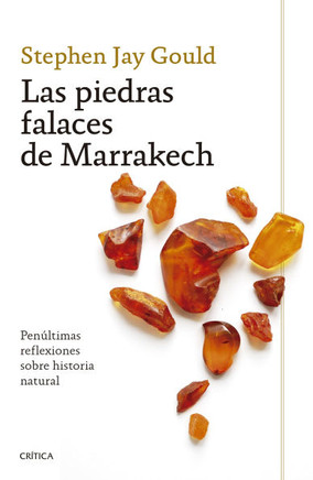 Las piedras falaces de Marrakech : Penúltimas reflexiones sobre historia natural