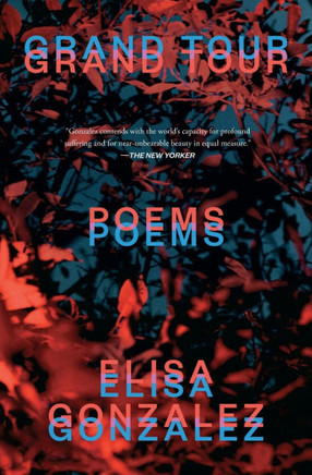 Grand Tour : Poems