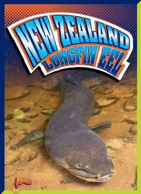 New Zealand Longfin Eel