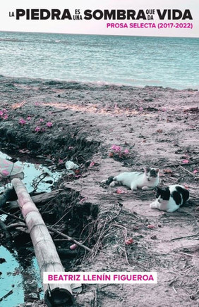 La Piedra Es una Sombra Que Da Vida