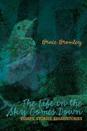 The Life In The Sky Comes Down