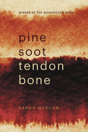Pine Soot Tendon Bone
