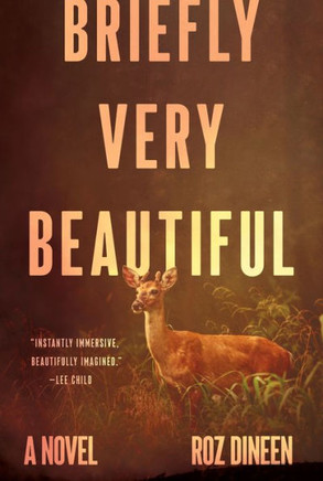 Briefly Very Beautiful : A Novel