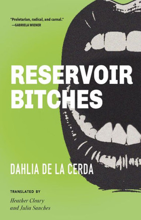Reservoir Bitches : Stories