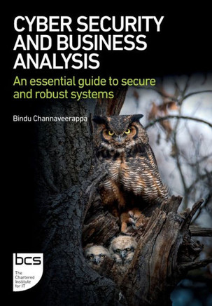 Cyber Security and Business Analysis : An Essential Guide to Secure and Robust Systems