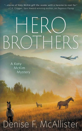 Hero Brothers : A Katy McKim Mystery