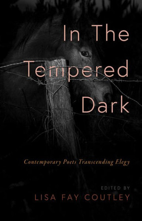 In the Tempered Dark : Contemporary Poets Transcending Elegy