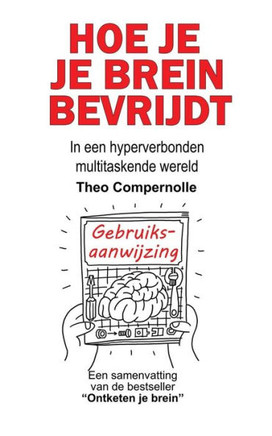 Hoe Je Je Brein Bevrijdt : In Een Hyperverbonden Multitaskende Wereld