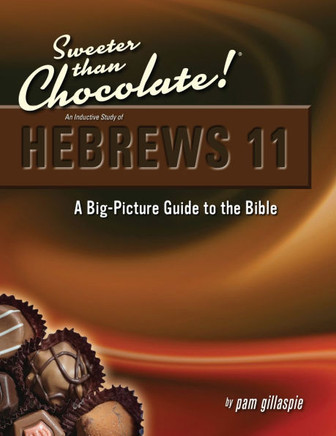 A Big-Picture Guide to the Bible : An Inductive Study of Hebrews 11