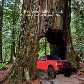 Redwood National Park Attractions Sights to See Kids Book : Great Book for Children about Redwood National Park