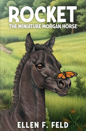 Rocket : The Miniature Morgan Horse
