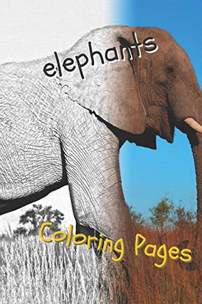 Elephant Coloring Pages: Beautiful Coloring Pages With Animal For Adults And For Kids - 9781090737090